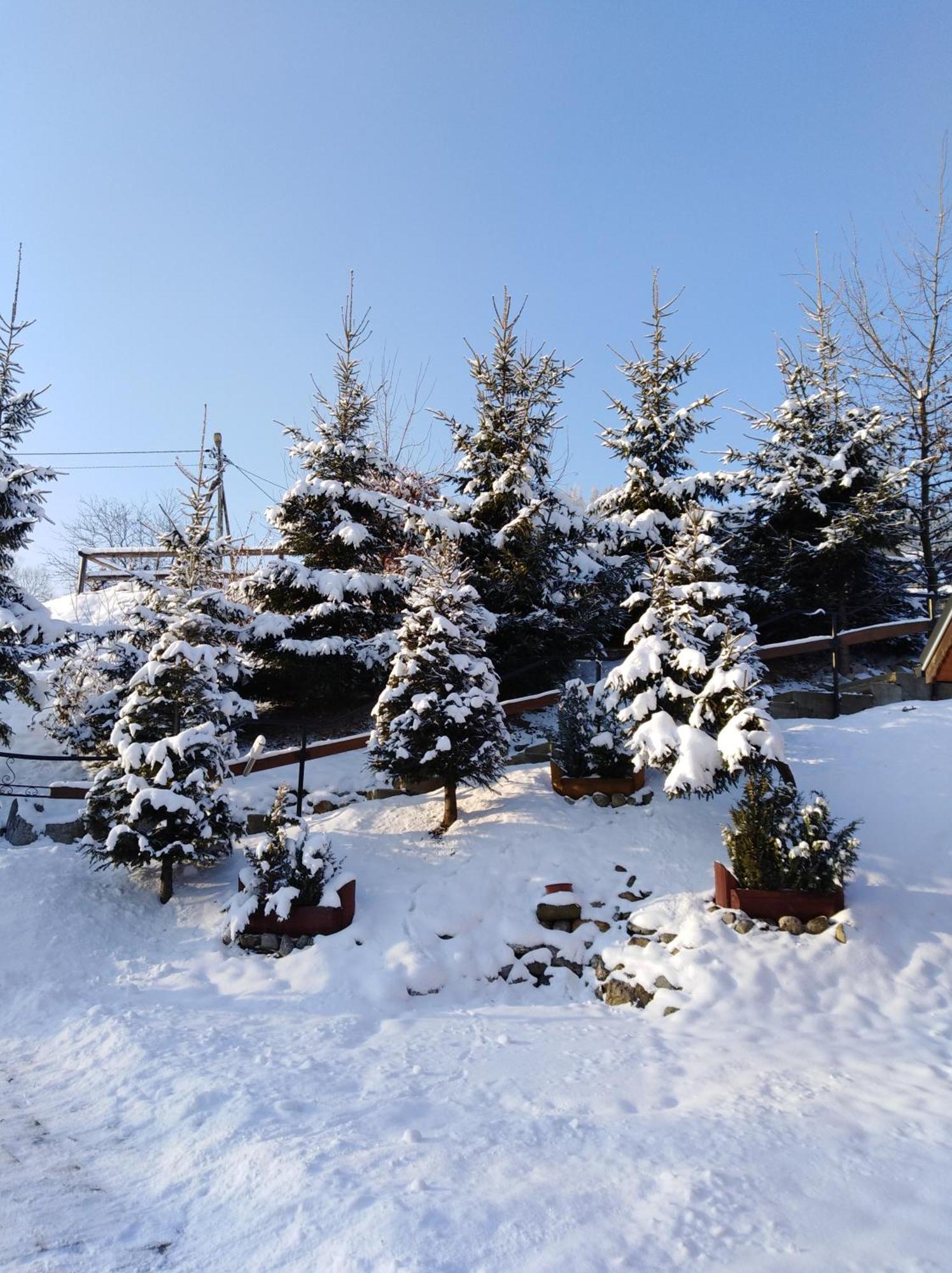 Inksy Domek Harenda Zakopane Exterior foto