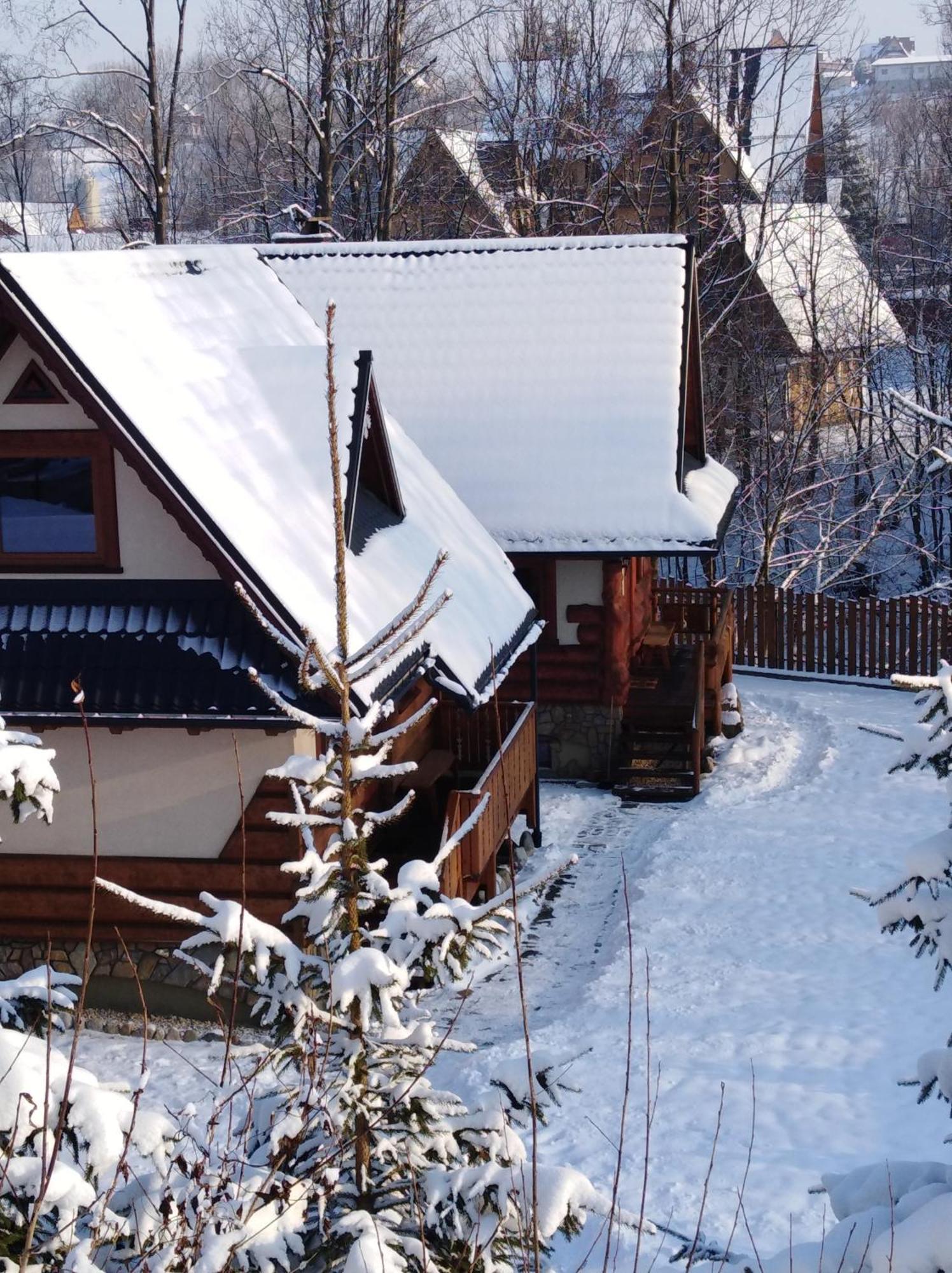 Inksy Domek Harenda Zakopane Exterior foto